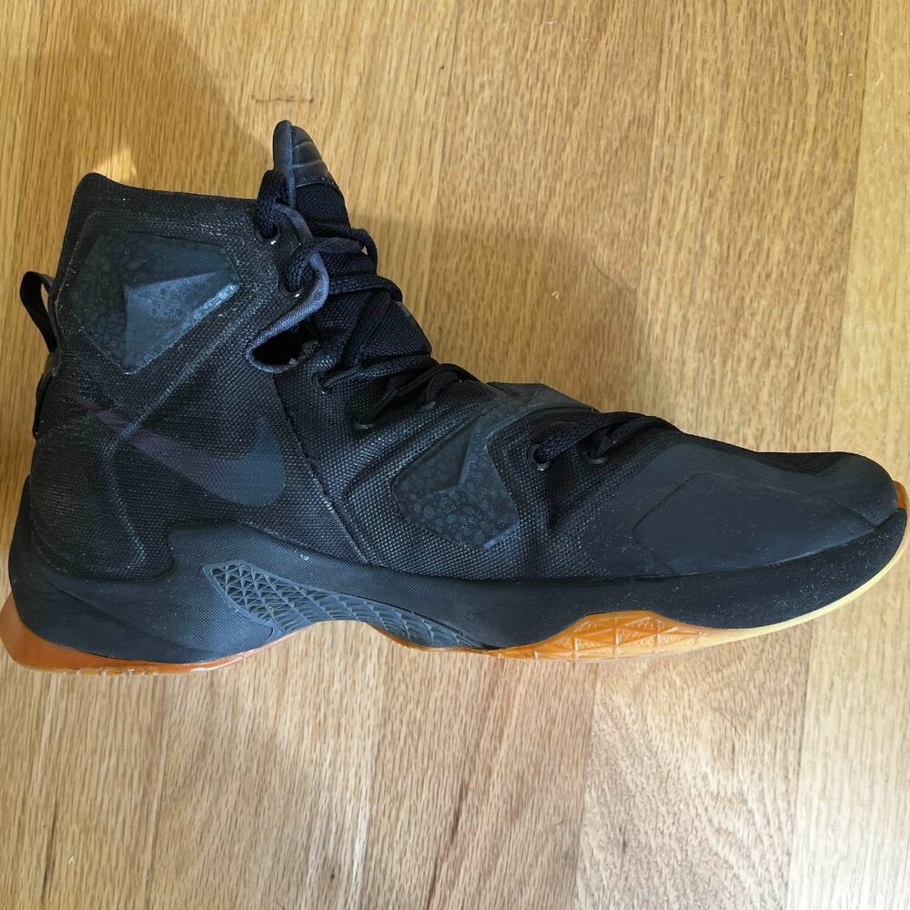 Lebron 13 Black Lion Size 9